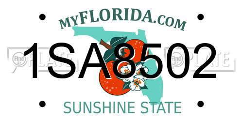 1SA8502 Florida License Plate