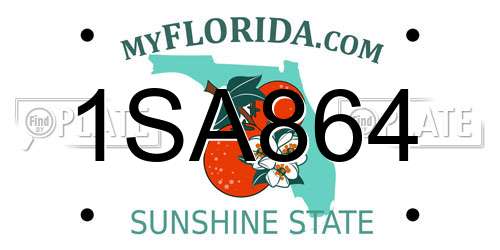 1SA864 Florida License Plate