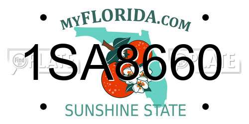 1SA8660 Florida License Plate