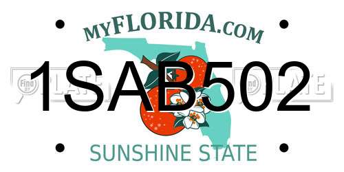1SAB502 Florida License Plate