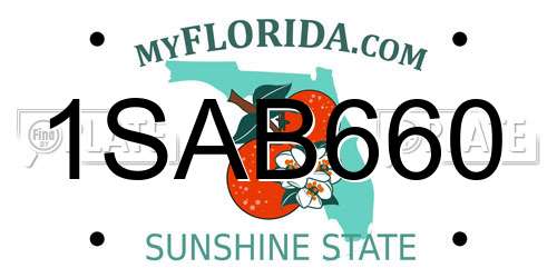 1SAB660 Florida License Plate