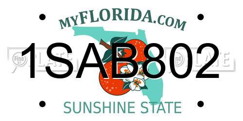 1SAB802 Florida License Plate