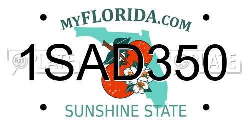 1SAD350 Florida License Plate