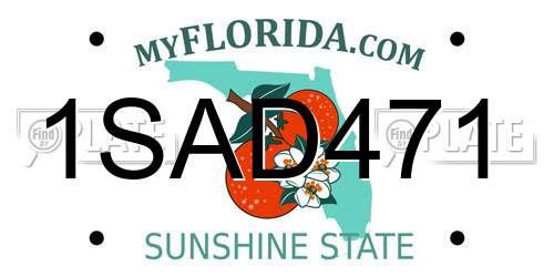 1SAD471 Florida License Plate
