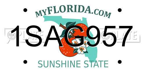 1SAG957 Florida License Plate