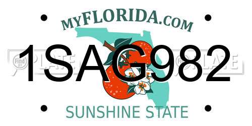 1SAG982 Florida License Plate
