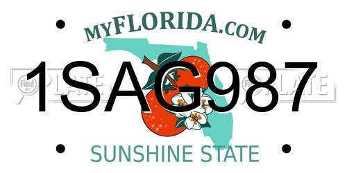 1SAG987 Florida License Plate