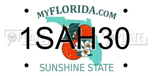 1SAH30 Florida License Plate