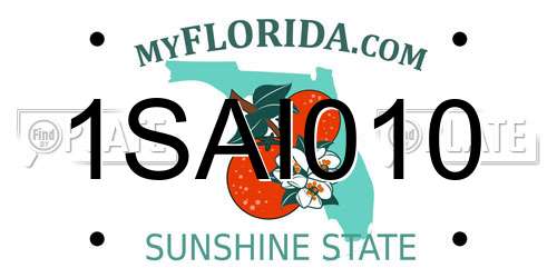 1SAI010 Florida License Plate