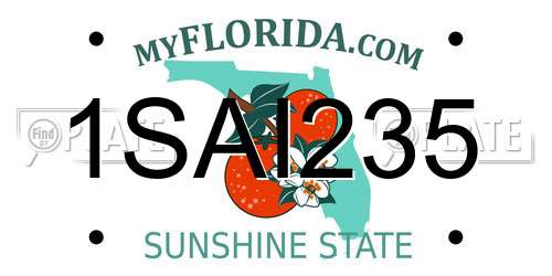 1SAI235 Florida License Plate