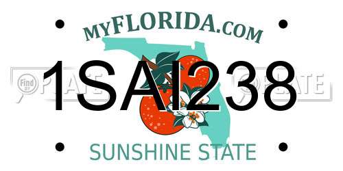 1SAI238 Florida License Plate