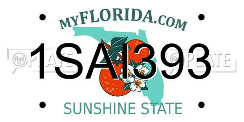 1SAI393 Florida License Plate