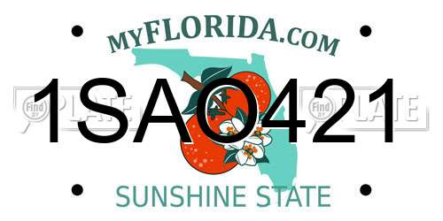 1SAO421 Florida License Plate