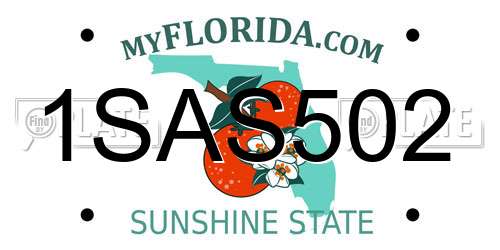 1SAS502 Florida License Plate