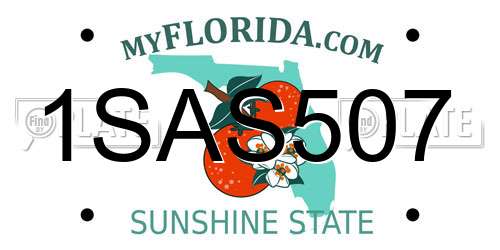 1SAS507 Florida License Plate