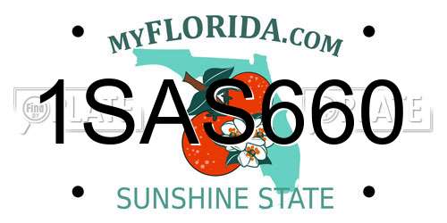 1SAS660 Florida License Plate