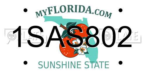 1SAS802 Florida License Plate