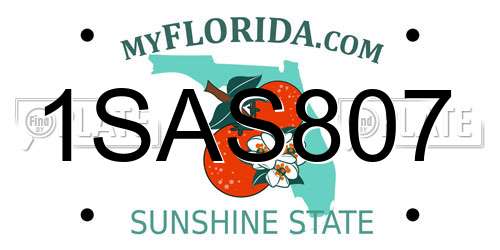 1SAS807 Florida License Plate
