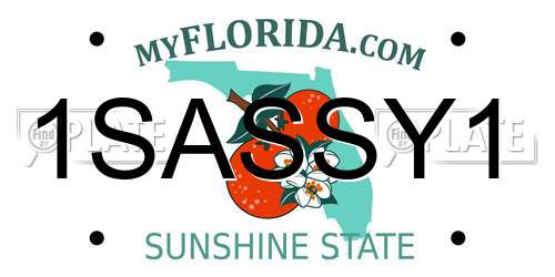 1SASSY1 Florida License Plate