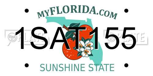 1SAT155 Florida License Plate