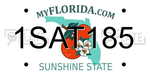 1SAT185 Florida License Plate