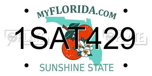 1SAT429 Florida License Plate