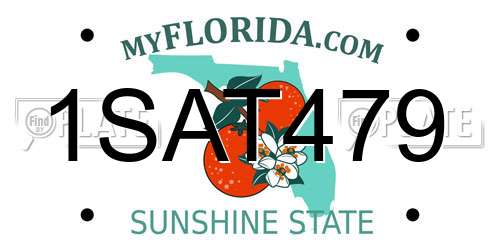 1SAT479 Florida License Plate