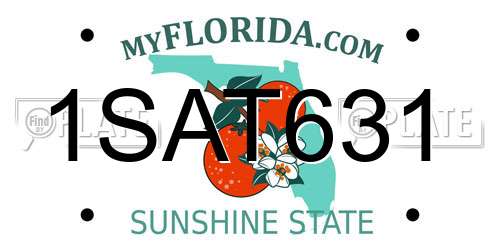 1SAT631 Florida License Plate