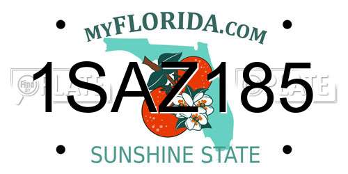 1SAZ185 Florida License Plate