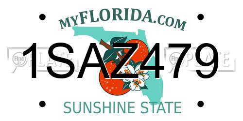 1SAZ479 Florida License Plate