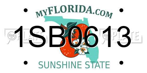 1SB0613 Florida License Plate
