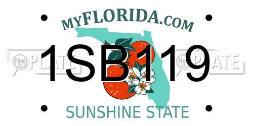 1SB119 Florida License Plate