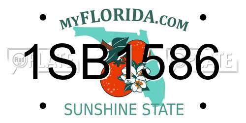 1SB1586 Florida License Plate