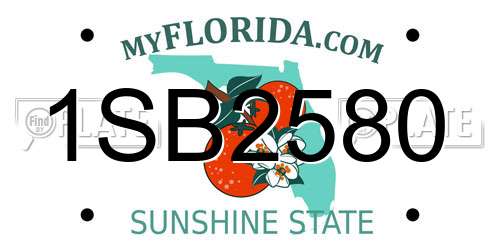1SB2580 Florida License Plate