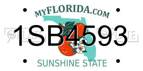 1SB4593 Florida License Plate