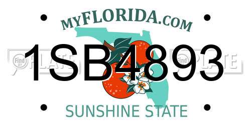 1SB4893 Florida License Plate