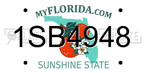 1SB4948 Florida License Plate