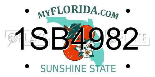 1SB4982 Florida License Plate