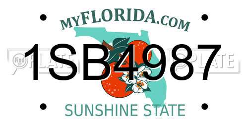 1SB4987 Florida License Plate