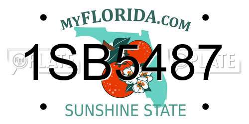 1SB5487 Florida License Plate