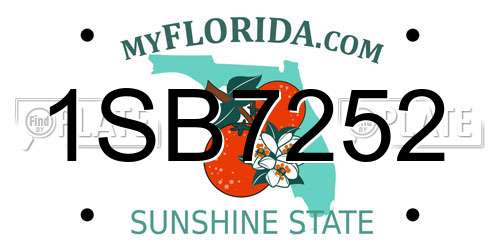 1SB7252 Florida License Plate