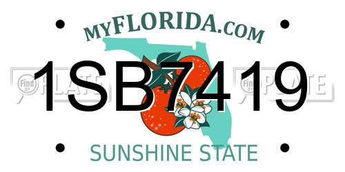 1SB7419 Florida License Plate
