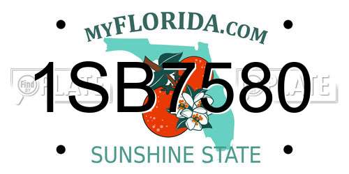 1SB7580 Florida License Plate