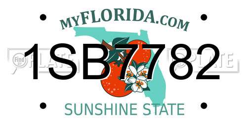 1SB7782 Florida License Plate