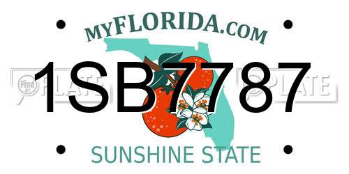 1SB7787 Florida License Plate