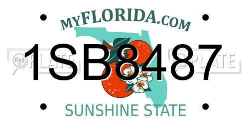 1SB8487 Florida License Plate