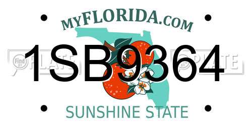 1SB9364 Florida License Plate