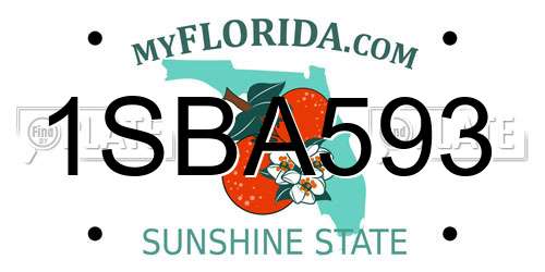 1SBA593 Florida License Plate