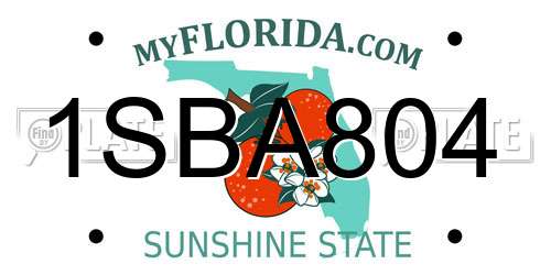 1SBA804 Florida License Plate