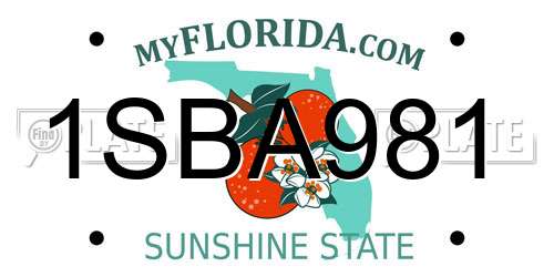1SBA981 Florida License Plate